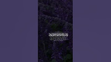تلاوة القارئ عبدالرحمن مسعد  , حـالات واتسـاب🤍.