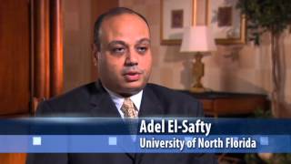 PCI Foundation - Dr. Adel ElSafty
