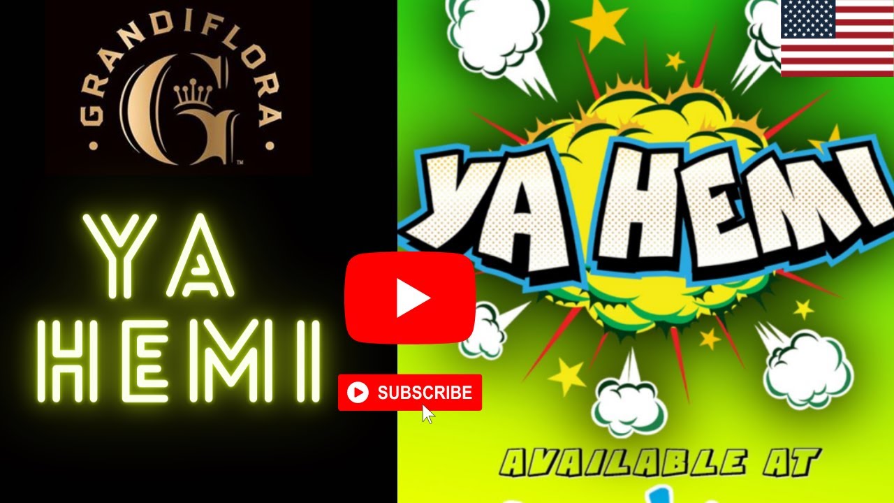 YA Hemi   🙏🔥Grandiflora 💐- Melonatta x Project 4516.🇺🇸🍿🎥🔥