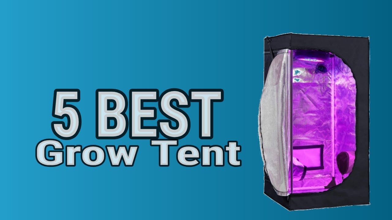 5 Best Grow Tent YouTube