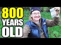 EPICLY Breathtaking  800 Year Old Brooch - Metal Detecting - West Country Clegg