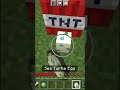 Minecraft Fact No One Knows About.