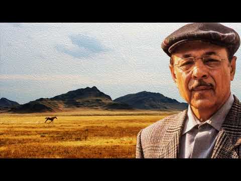 Sabreyle Ey Gönül - Neşet Ertaş
