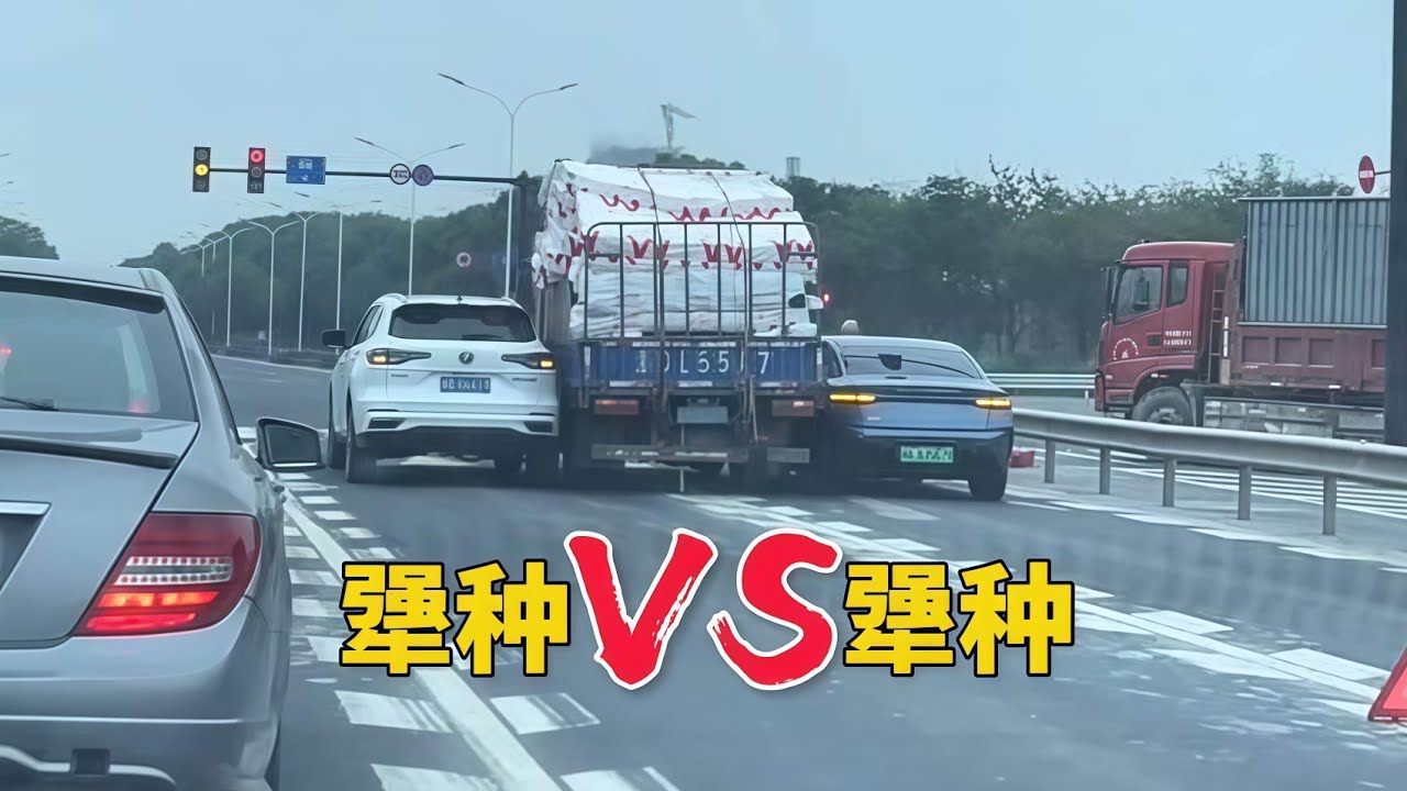 犟种VS犟种，好一对卧龙凤雏！