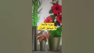 سورة الفاتحة #قران_كريم #اكسبلور #pets #تيك_توك #kittypets #مواعظ #لايك #ترند #cutespets