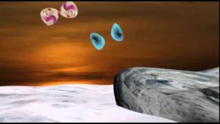 butterflies in love.avi