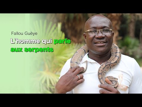 Vidéo: Prigogine A Comparé Le Tribunal Perdant Sobol à Un Serpent Dans Une Poêle