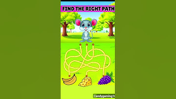 Test Your IQ : Can You Find The Correct Path ? | Mind Test Puzzles| #shorts #paheliyan #yt