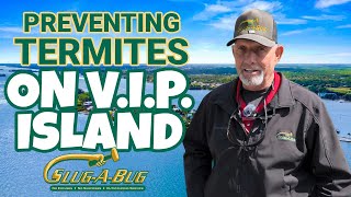 Preventing Subterranean Termites on V I P Island in Brevard County Florida