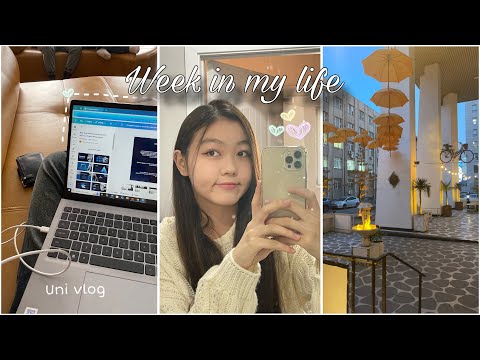 Week In My Life МУИС н оюутан оюутаны нэг долоо хоног