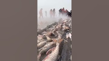 how to weave a fishing net  #fishing #fish #net #cast