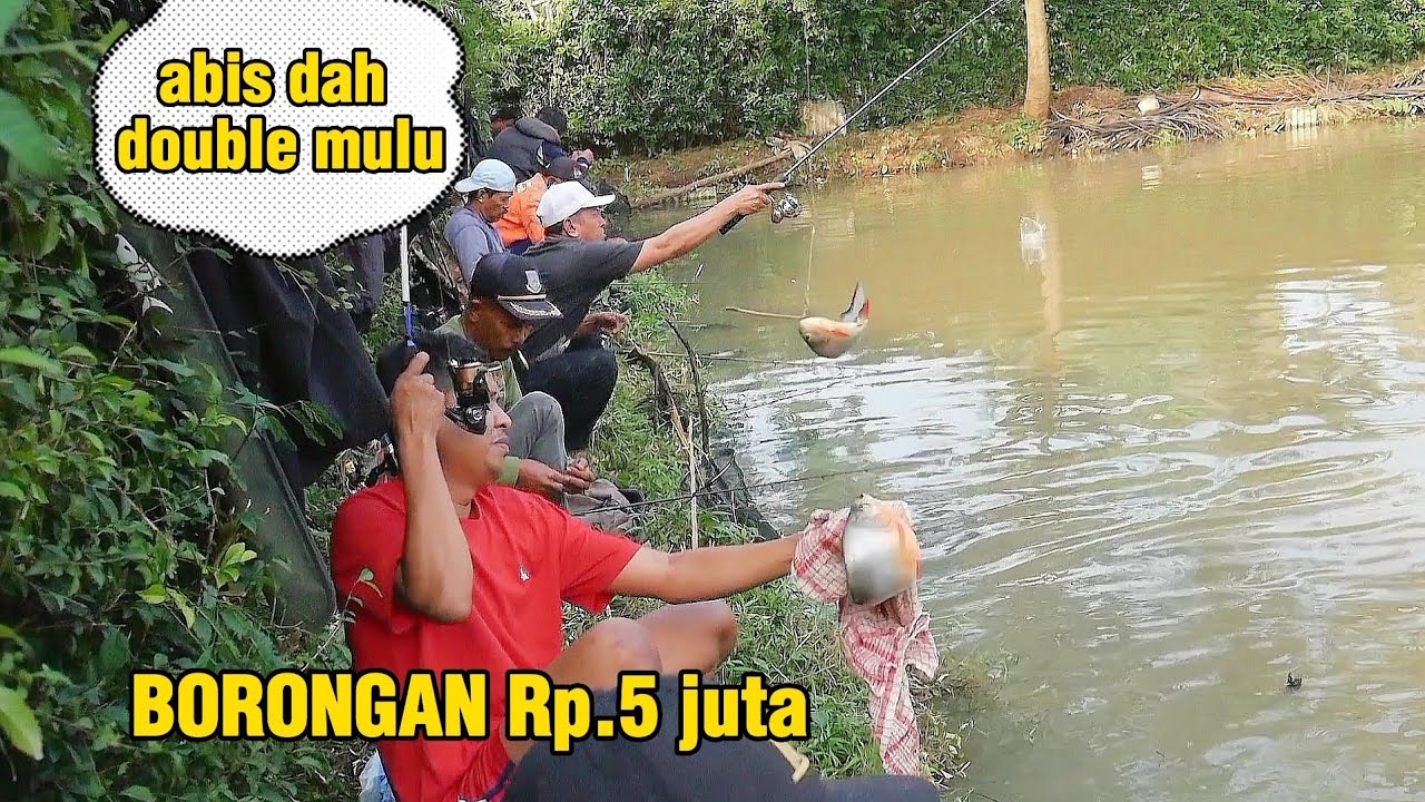 BOROS BIKIN IKAN CEPET HABIS,,,,‼️ PLUNG LEP NETER BANGET  || MANCING BORONGAN BAWAL,PATIN NILA