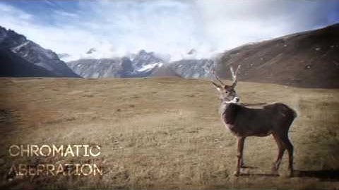 Parallax Animation Studio | After Efects Project Files