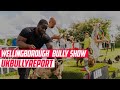 UK BULLY REPORT- Wellingborough Big Bully Uk Meet