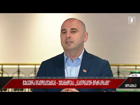 შეხვედრა დიპლომატებთან - უთანხმოება „ნაციონალურ მოძრაობაში“