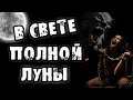 Страшные истории на ночь - В СВЕТЕ ПОЛНОЙ ЛУНЫ - Страшилки на ночь