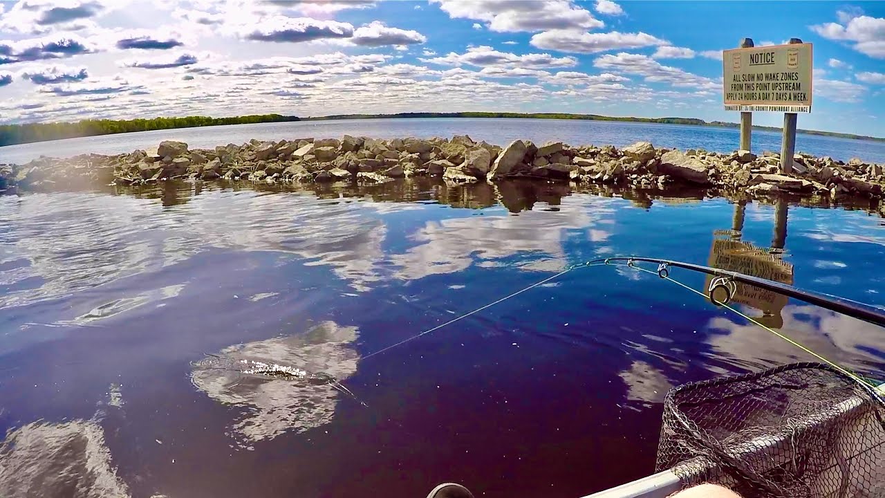 Wolf River White Bass Fishing Fremont WI! YouTube