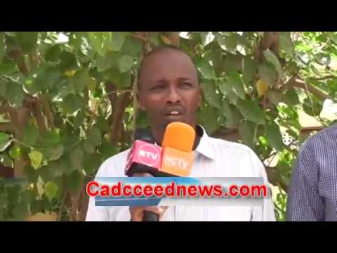 XASASI -SACAD DAAHIR Oo SHAACIAYAY INUU MAYIR YAHAY camera iphone 8 plus apk