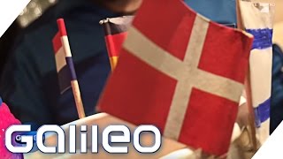 Selbstexperiment Dänisch Lernen In 5 Tagen. Geht Das? Galileo Prosieben