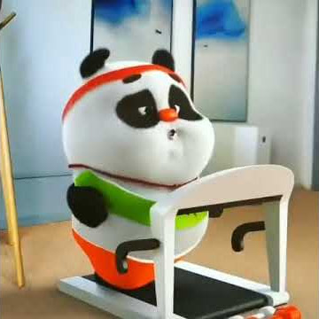 Story wa panda gendut dan lucu