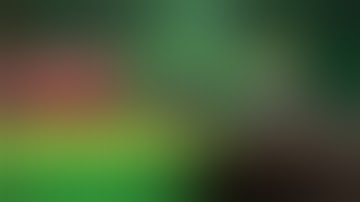 THE MOST PROFITABLE GAMBLING SITE! | ROLL BIT (CRAZY BETS!)