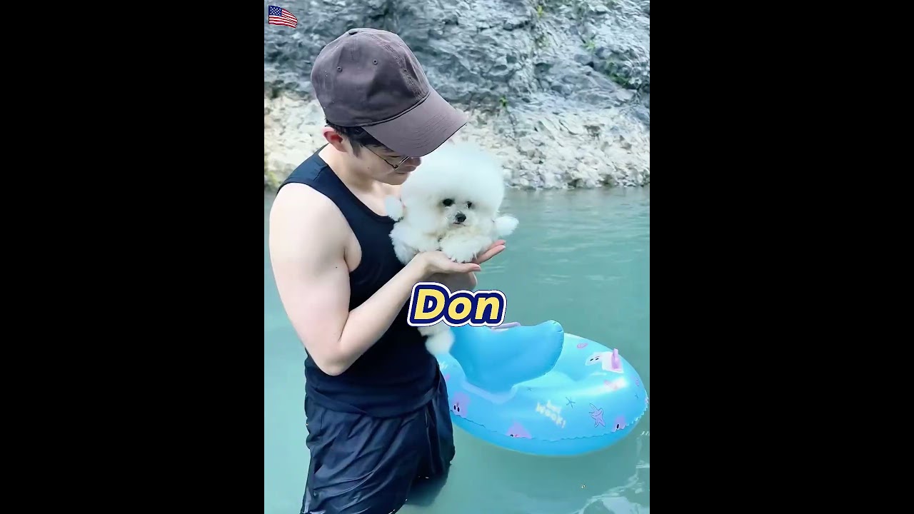 Taking My Dog Swimming for the First Time! 🐾 (She's a Natural!)#Shorts #foryou#Cat#Dog#Cute