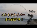 大物連発!ヤバすぎる堤防でコルトスナイパーぶち曲がり!【ストラディックSW】