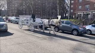 White Funeral  Hearse Carriage with Frank R Bell Funeral Home Brooklyn NY with transfer for ride to