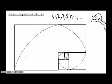 Fibonacci Sequence Explained
