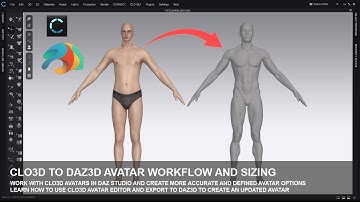Daz to clo3D Avatar Workflow Import and Export Settings Customised Avatars Scaled Avatar Editor