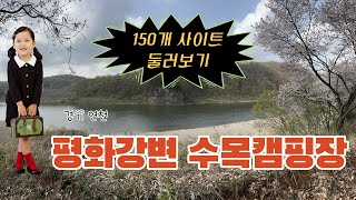 평화강변수목캠핑장 | 전체 사이트 둘러보기 | 사계절 장박 | 임진강 | 슬라이딩 수영장 | 트램펄린 4개