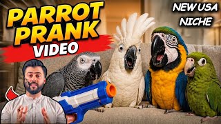How I Created Viral Parrot Pranks Videos with AI - Tariq Pathan  screenshot 3