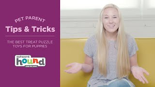 The Best Treat Puzzle Toys For Puppies - Picking The Best Puzzle Toys For Your Puppy screenshot 1