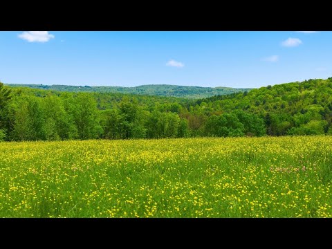 143 Swift Rd, Binghamton, NY home video tour