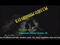 Одесса. Катакомбы. История и Реальность. Odessa. Catacombs. 4K