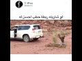 والله لوكان شاري له حزمه حطب ابرك له المسكين 
