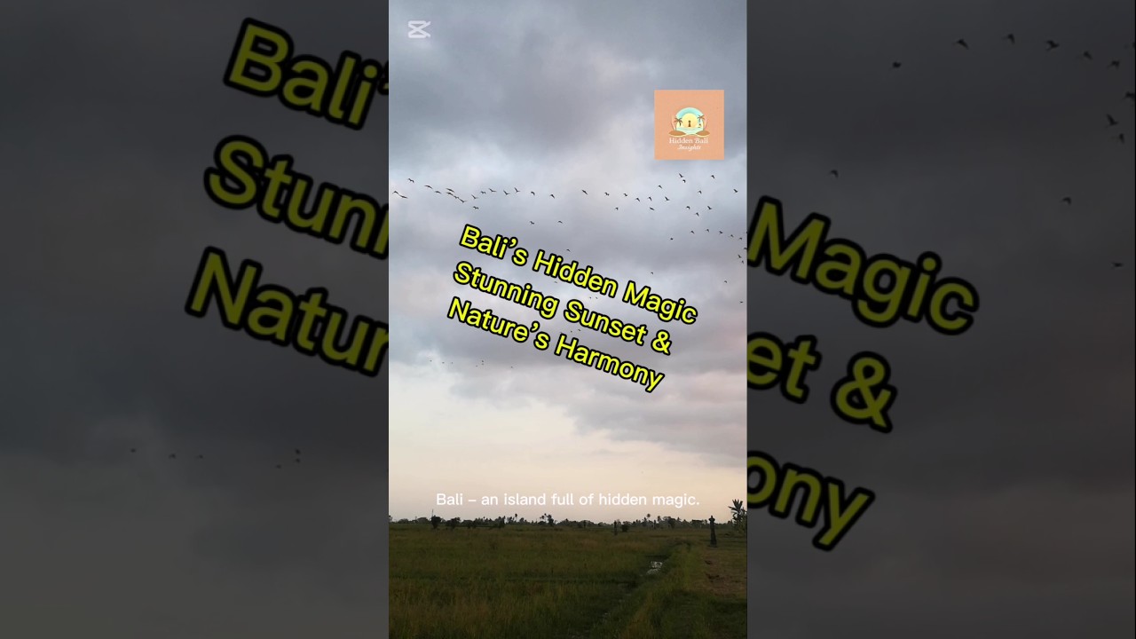 Bali’s Hidden Magic | Stunning Sunset & Nature’s Harmony
