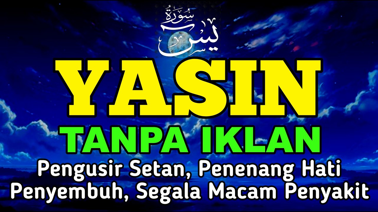 🔴Surah Yasin & Ayat Kursi Pengusir Setan dan Penyembuh Segala Macam Penyakit, Ngaji Merdu🤲