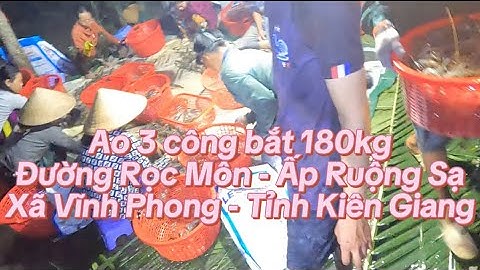 Ao 3 công bắt 180kg tôm càng lúc 2 giờ Đường Rọc Môn - Ấp Ruộng Sạ - Xã Vĩnh Phong - Tỉnh An Giang
