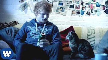 ¿Tiene Ed Sheeran un gato?