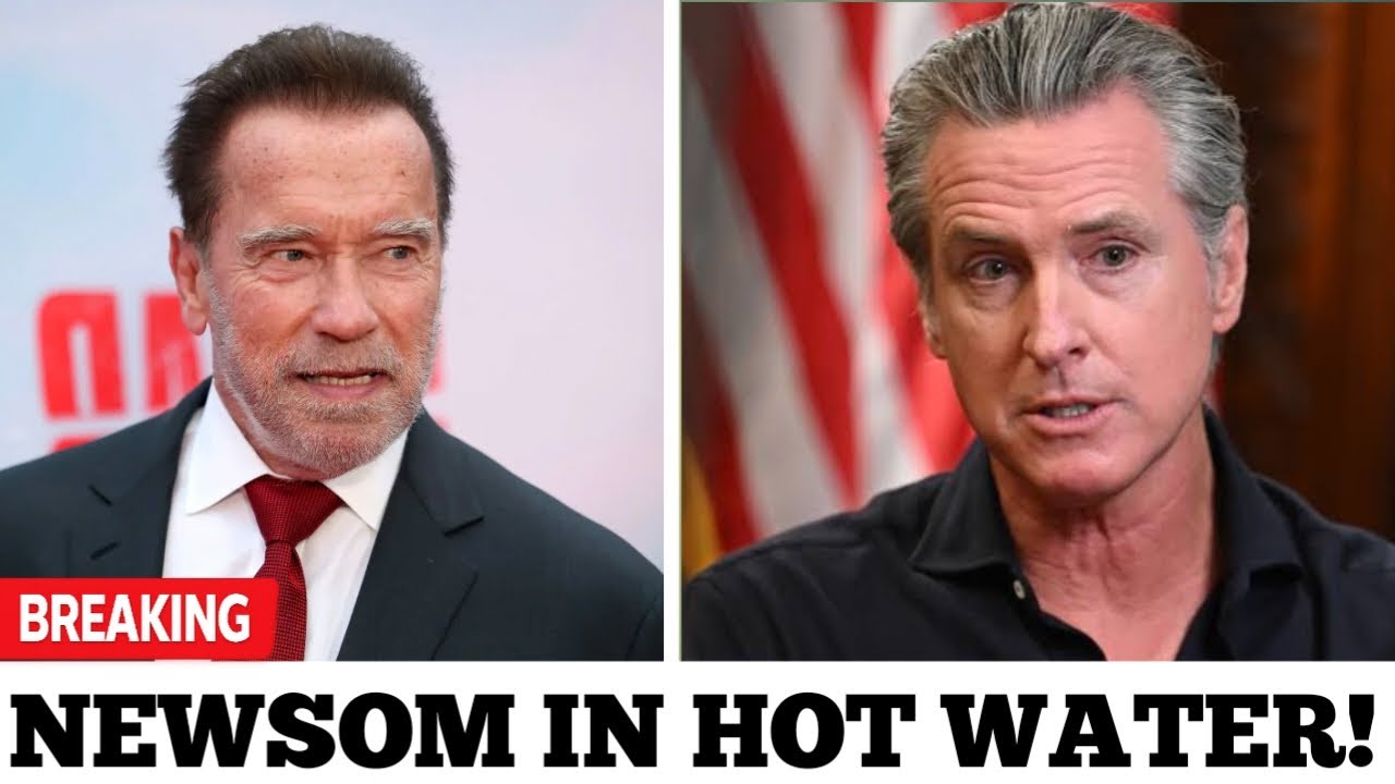 LIVE TV MOMENT: Arnold Schwarzenegger Confronts Gavin Newsom On The Record