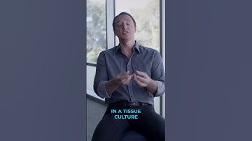 Brain Organoids: Growing Human Brains in a Dish!