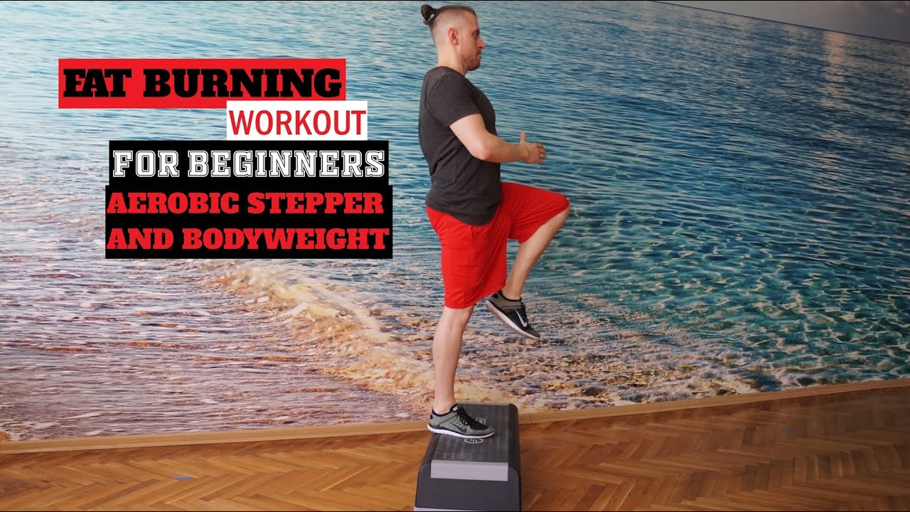 Fat Burning Workout for Beginners YouTube
