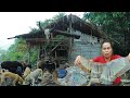 survival in the rainforest-found pig intertine for cook with mushroom &amp; give to pets HD