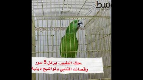 يلوناب يقراء سورة الاخلاص ...