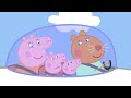 Peppa Pig and The Flying Vet 🐷✈️ Peppa Pig Official Channel Family Kids Cartoons