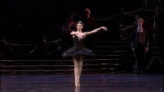 BTS BLACK SWAN ORCHESTRA BALLET