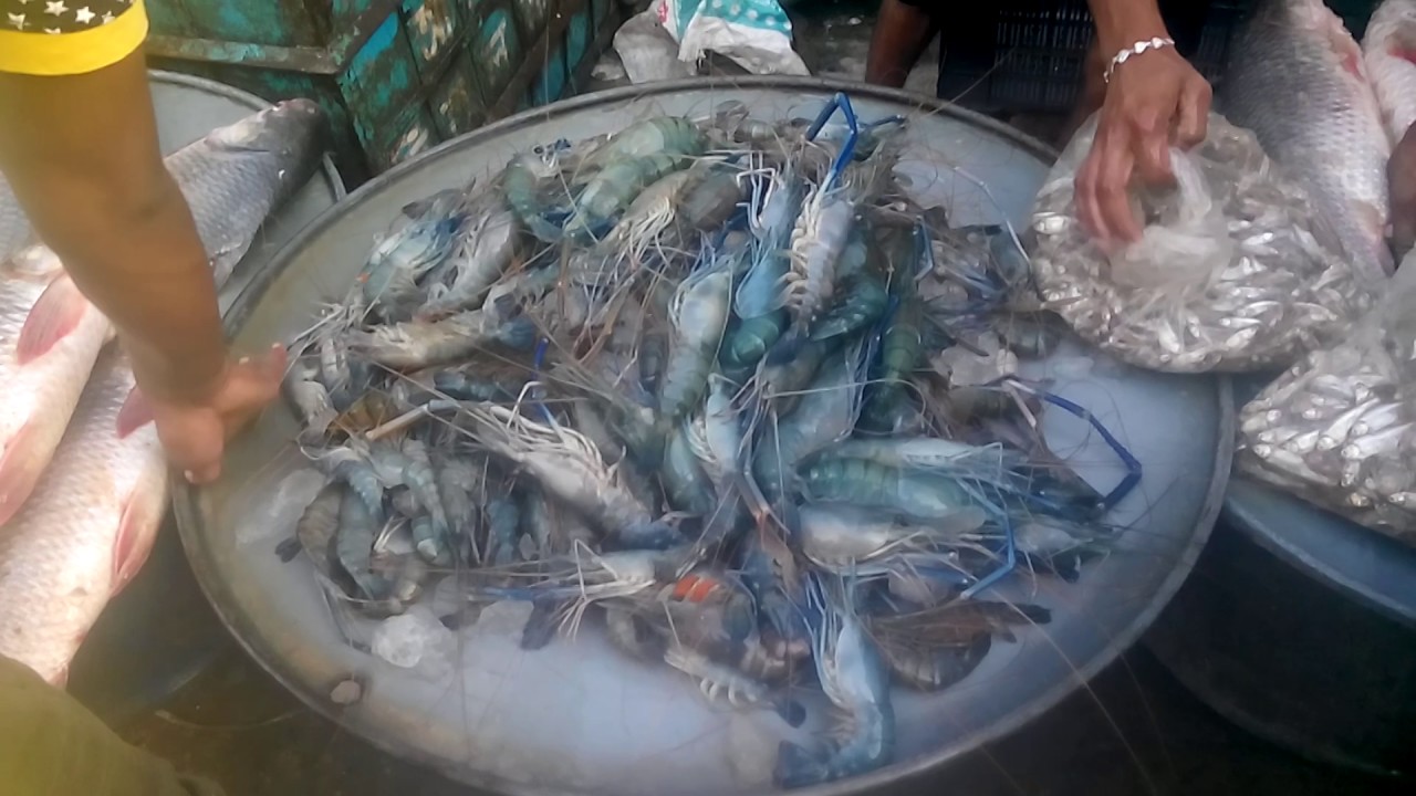 Fish Market Downtown Fresh Seafood For Sale Near Me YouTube