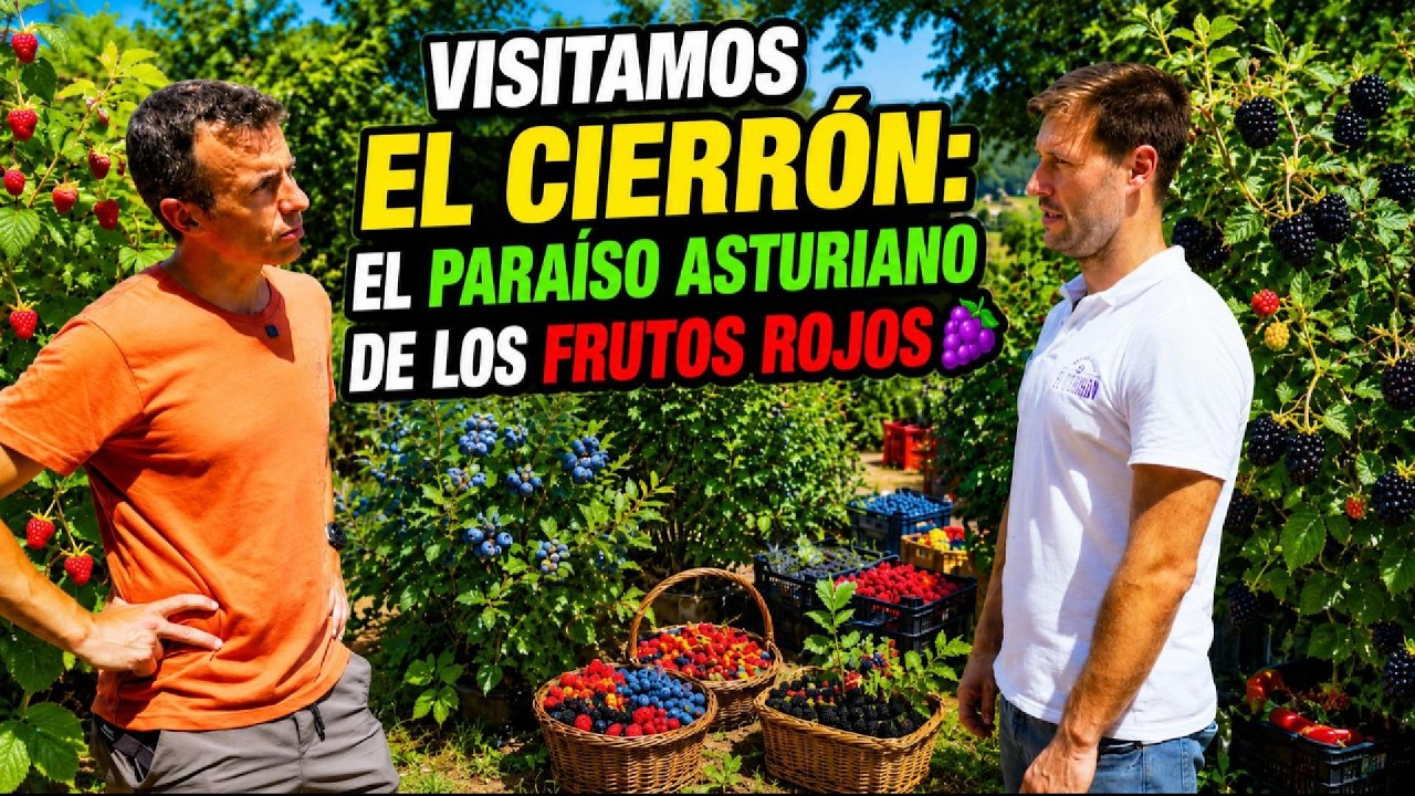 Visitamos El Cierrón: el paraíso asturiano de los frutos rojos 🍇