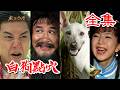 【戲說台灣】白狗點穴 全集